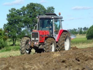 Massey Ferguson 3095 i Agro-Masz PO4