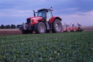 Massey Ferguson 6485 Dyna-6 & Kverneland EM100