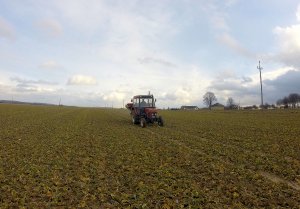 Zetor 5320 & Amazone