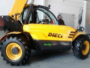Dieci