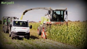 Claas Jaguar 870 & Iveco Daily