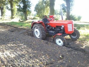 Zetor 3011 + pług