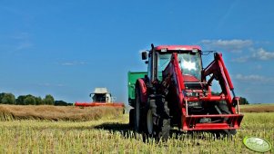Zetor Forterra 11441 + PTS12 + Claas Lexion 670