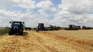 New Holland, 3x Fortschritt E-514, MAN