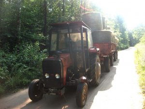 Massey Ferguson 255 + PTS + D-46