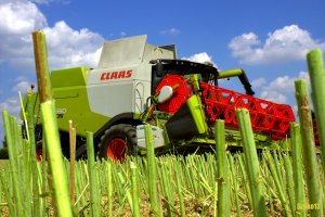 Claas Lexion 650 V660