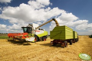 Claas 560