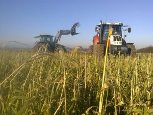 Steyr i Deutz Fahr