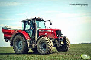 Massey Ferguson 6480