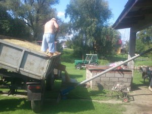 Żmijka + sanok D-35