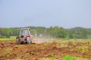 Massey Ferguson 3080 & Stal Tech U006