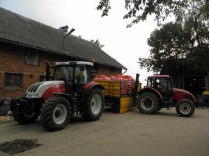 Steyr Profi 6140 + Zetor Forterra 9641