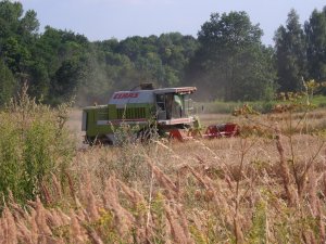 Claas Dominator 108