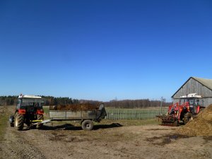 Zetor 7211 + Rozrzutnik & Zetor 7745 + iT1600