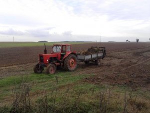 MTZ-50 + Rozrzutnik