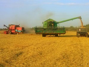 John Deere W650 & Bizon Rekord Z058