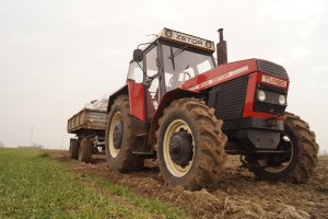 Zetor 8145 Turbo