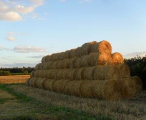 Słoma