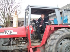 Massey Ferguson  595