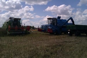 Bizon Rekord Z058 i Claas Dominator 86