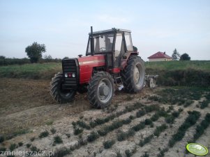 Massey Ferguson 698