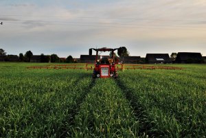 Wladimirec T-25A + TadLen TL 512