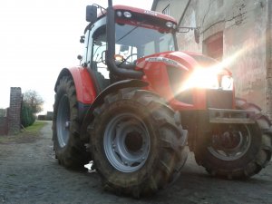 Zetor forterra 105