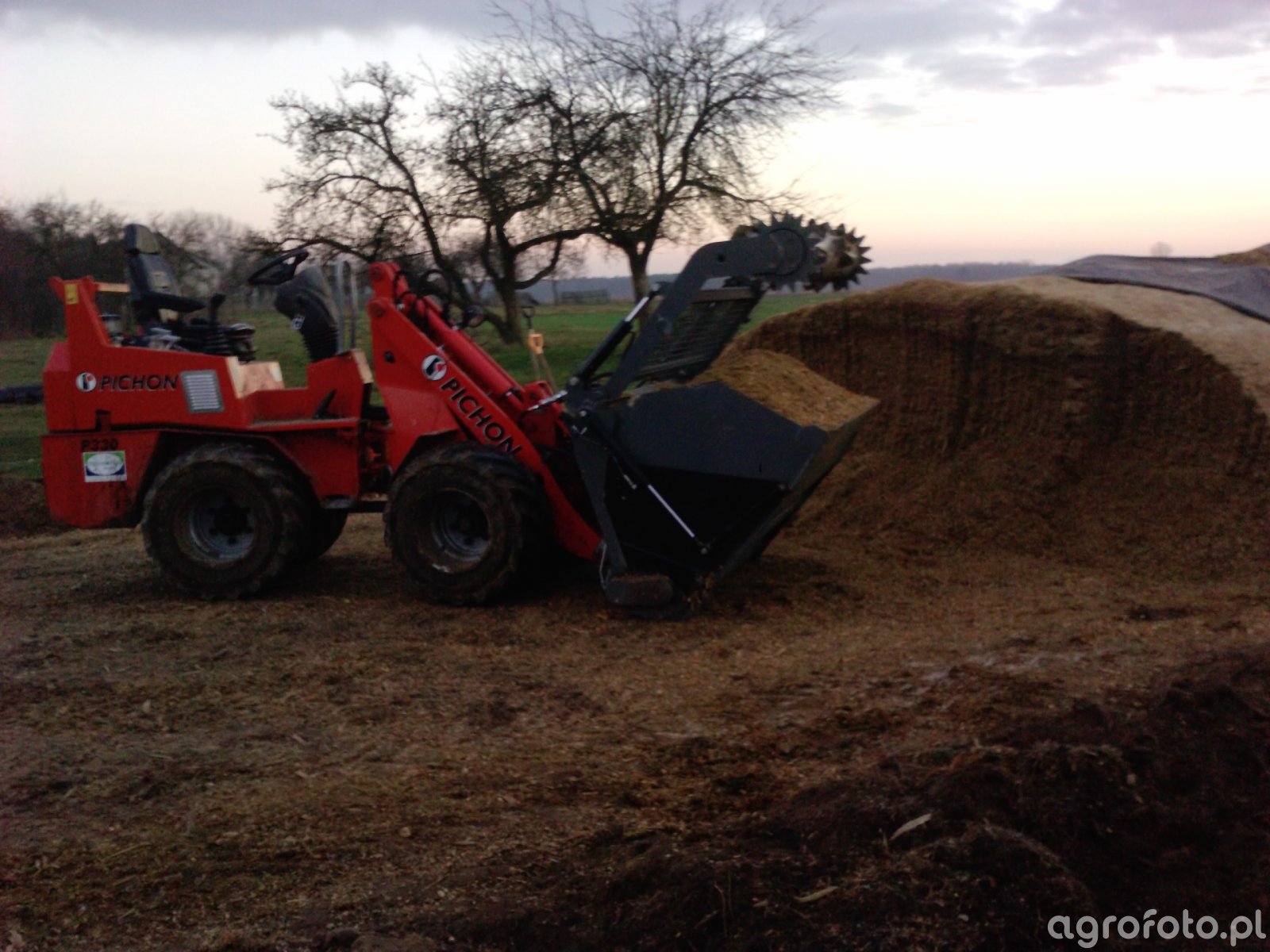 Pichon zdjęcie ładowarki id536695 Galeria rolnicza agrofoto
