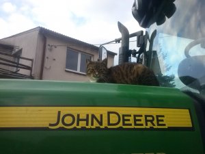 John Deere 6930p kot wie co dobre