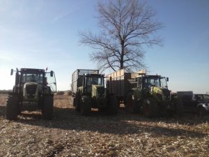 Claas Axion 840 x2 I Claas Axion 830