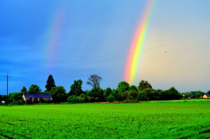 Groch Tarchalska + Tęcza