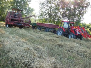 Bizon Z056 & Zetor Major 80