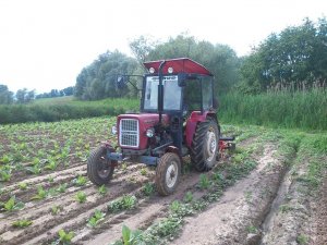 Ursus C-330M + Akpil Piel 3