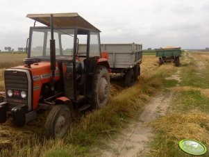 Massey Ferguson 255