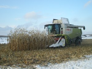 Claas Lexion 760