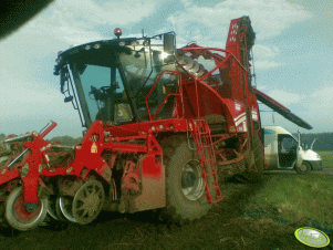 Grimme Rexor 620