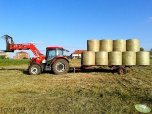 Zetor Proxima 8441