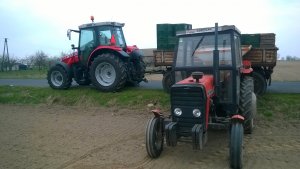 Massey Ferguson 5410 + przyczepa i Ursus 3512 + sadzarka