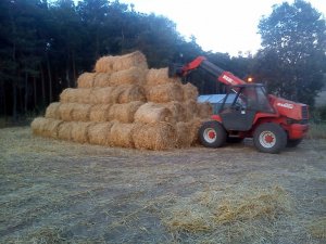 Manitou MLT 526