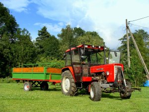 Ursus C-360 & Przyczepa Jednoosiowa