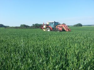 MF 5435 + Hardi 1200 LZ