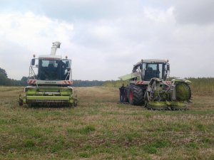 Claas Jaguar 830 & Claas Jaguar 870