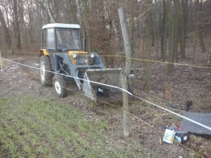 Ogrodzenie elektryczne przeciwko zwierzynie