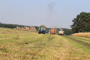 Pronar MTZ 82 4x4 Turbo, Claas Jaguar 860