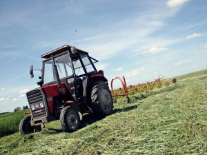 Massey Ferguson 255 & Mokobody 7
