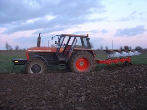 Ursus 1224 + Vogel & Noot