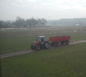 Massey Ferguson 698 + przyczepa