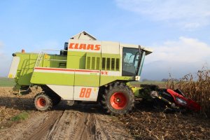 Claas Dominator 88 VX + Geringhoff Mais Star* Horizon