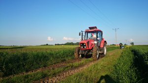 Ursus Mido 5524 + Banrol Z-041.