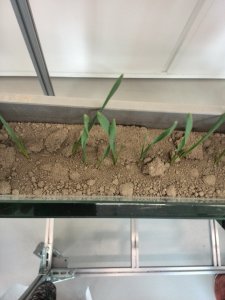 AgroFoto w Centrum Badań Syngenta w Bazylei w Szwajcarii
